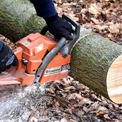 Chainsaw cutting through a felled tree trunk