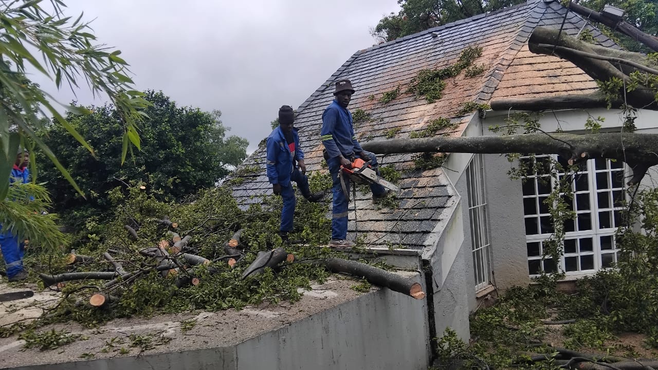 Jeff Tree Felling crew removing a fallen tree from a house roof in Gauteng